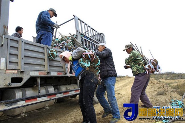 1509499113834816.jpg 5.JPG