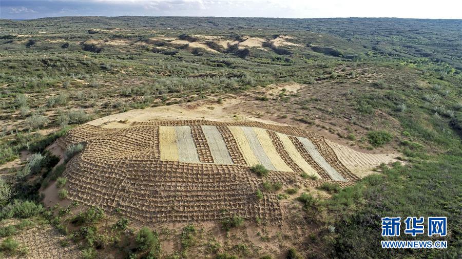 （壯麗70年·奮斗新時代——共和國發(fā)展成就巡禮·圖文互動）（6）生態(tài)美、百姓富——品讀嶄新“寧夏畫卷”
