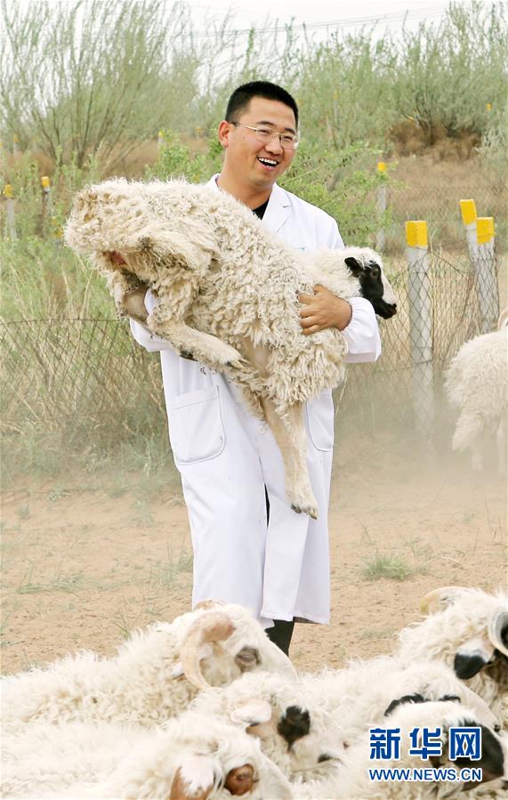 （壯麗70年·奮斗新時代——共和國發(fā)展成就巡禮·圖文互動）（3）生態(tài)美、百姓富——品讀嶄新“寧夏畫卷”