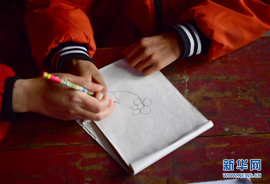 (決戰(zhàn)決勝脫貧攻堅·圖文互動)(5)特寫:疫情下的一堂特殊送教上門課