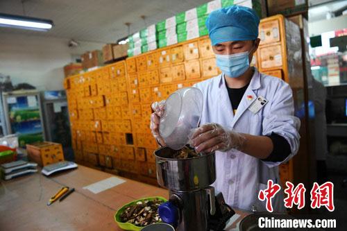 疫情發(fā)生以來，甘肅確保所有病例盡早、及時、全程使用中醫(yī)中藥，努力做到“一患一方案”。(資料圖) 楊艷敏 攝