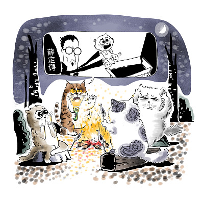 ▲物理學(xué)家薛定諤曾用一只貓比喻量子疊加。圖片來(lái)源：視覺(jué)中國(guó)